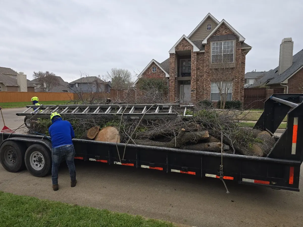 Expert Lot Clearing with proper safety equipment in Bingham